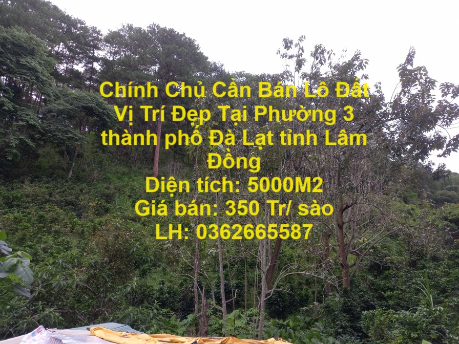 Chính Chủ Cần Bán Lô Đất Vị Trí Đẹp Tại Phường 3 thành phố Đà Lạt tỉnh Lâm Đồng - Ảnh chính